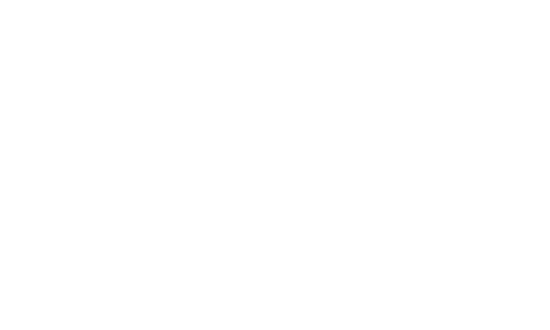 Bizkaiko_foru_aldundia.png